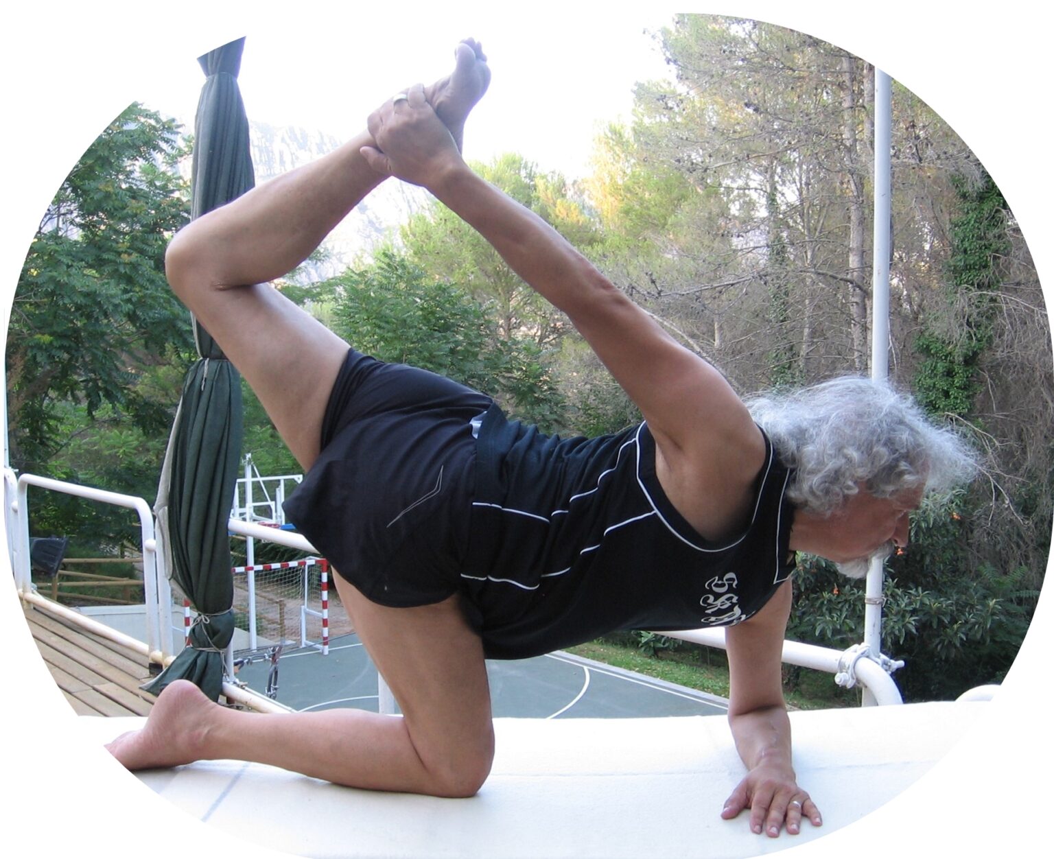 Arc DemiSurélevé--2013-Collbato- (43)-002